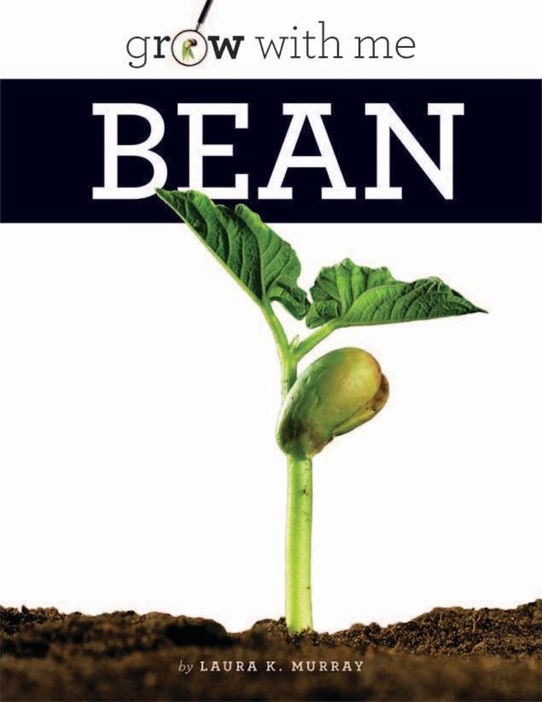 Grow with Me: Bean by The Creative Company Shop
