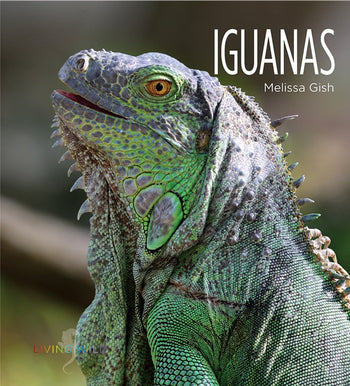 Living Wild - Classic Edition: Iguanas by The Creative Company Shop