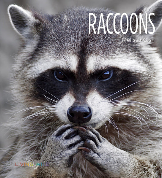 Living Wild - Classic Edition: Raccoons by The Creative Company Shop