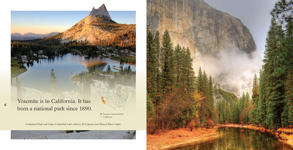 National Park Explorers: Yosemite by The Creative Company Shop