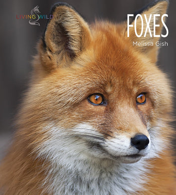 Living Wild - Classic Edition: Foxes by The Creative Company Shop