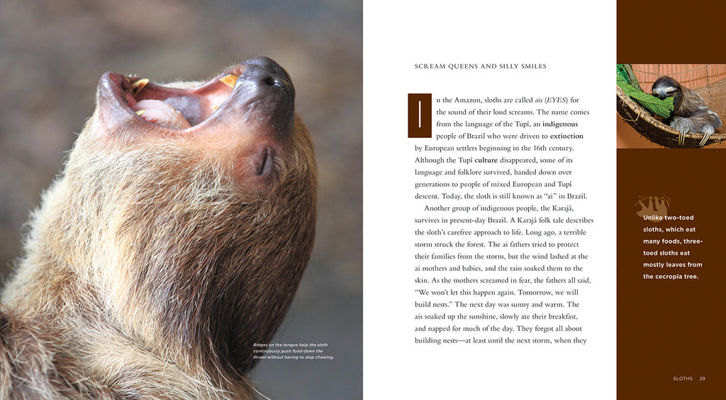 Living Wild - Classic Edition: Sloths by The Creative Company Shop