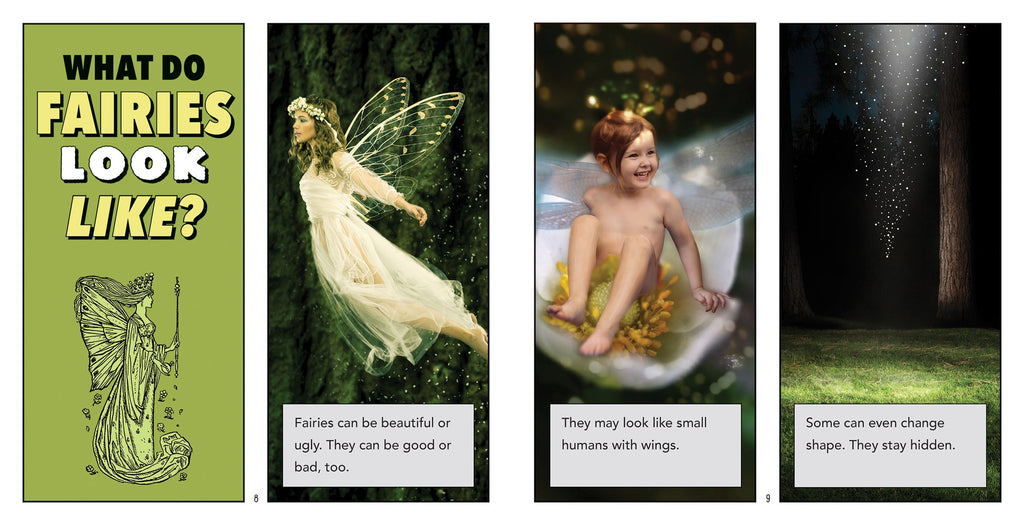 Are They Real?: Fairies by The Creative Company Shop