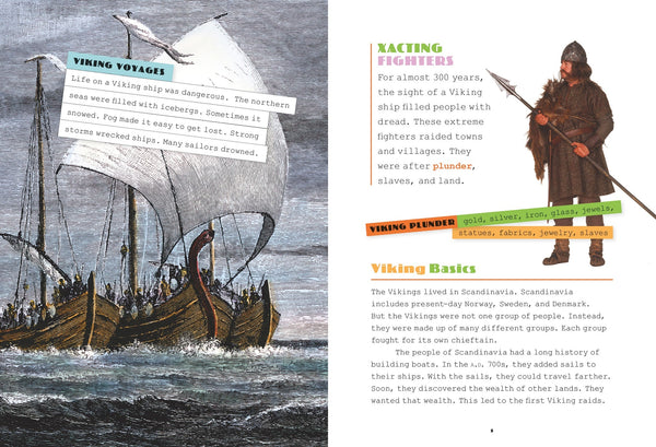 X-Books: Fighters: Vikings by The Creative Company Shop