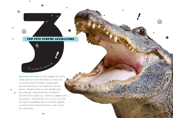X-Books: Predators: Alligators by The Creative Company Shop