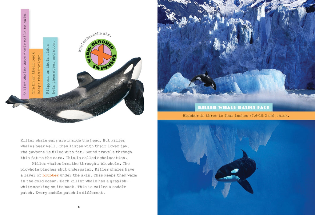 X-Books: Predators: Killer Whales by The Creative Company Shop