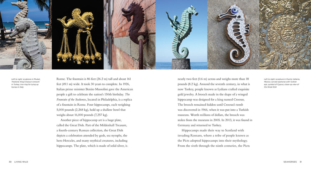 Living Wild - Classic Edition: Seahorses by The Creative Company Shop