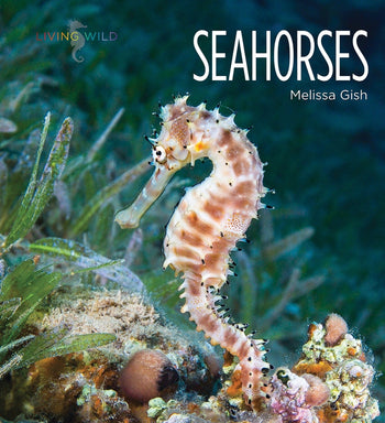 Living Wild - Classic Edition: Seahorses by The Creative Company Shop