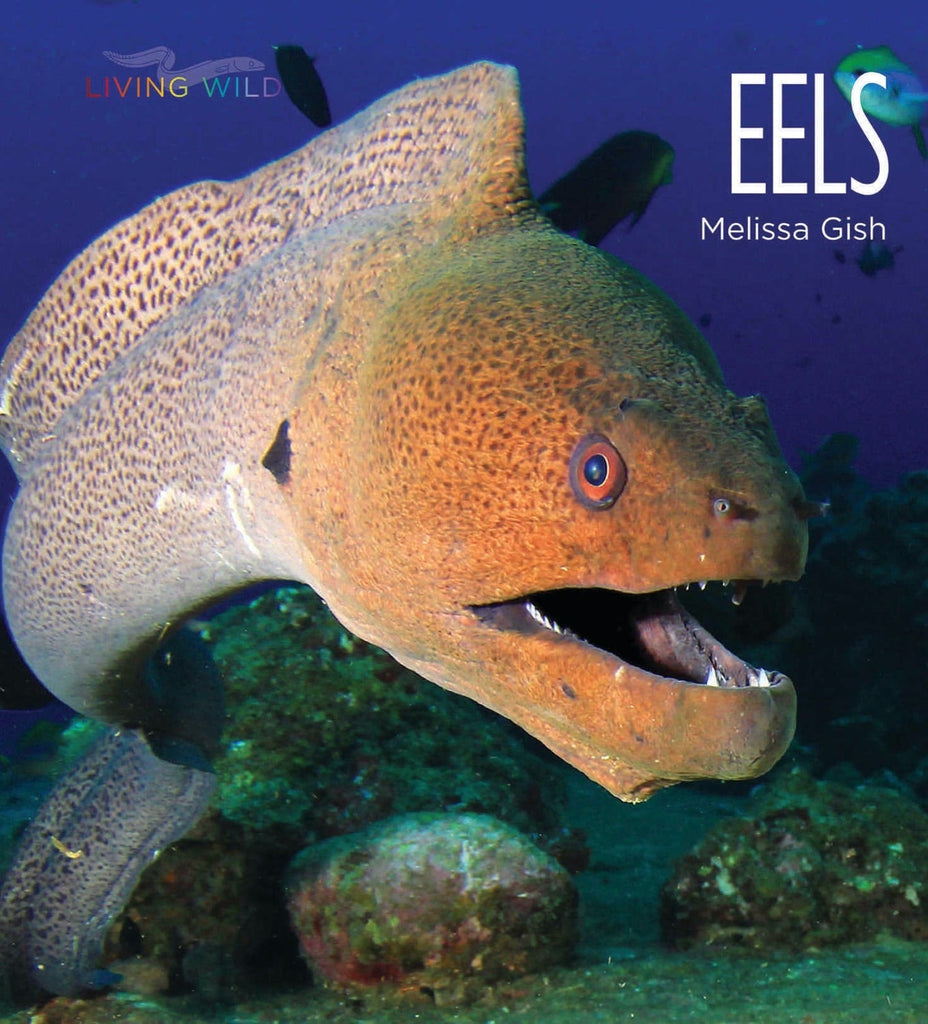 Living Wild - Classic Edition: Eels by The Creative Company Shop