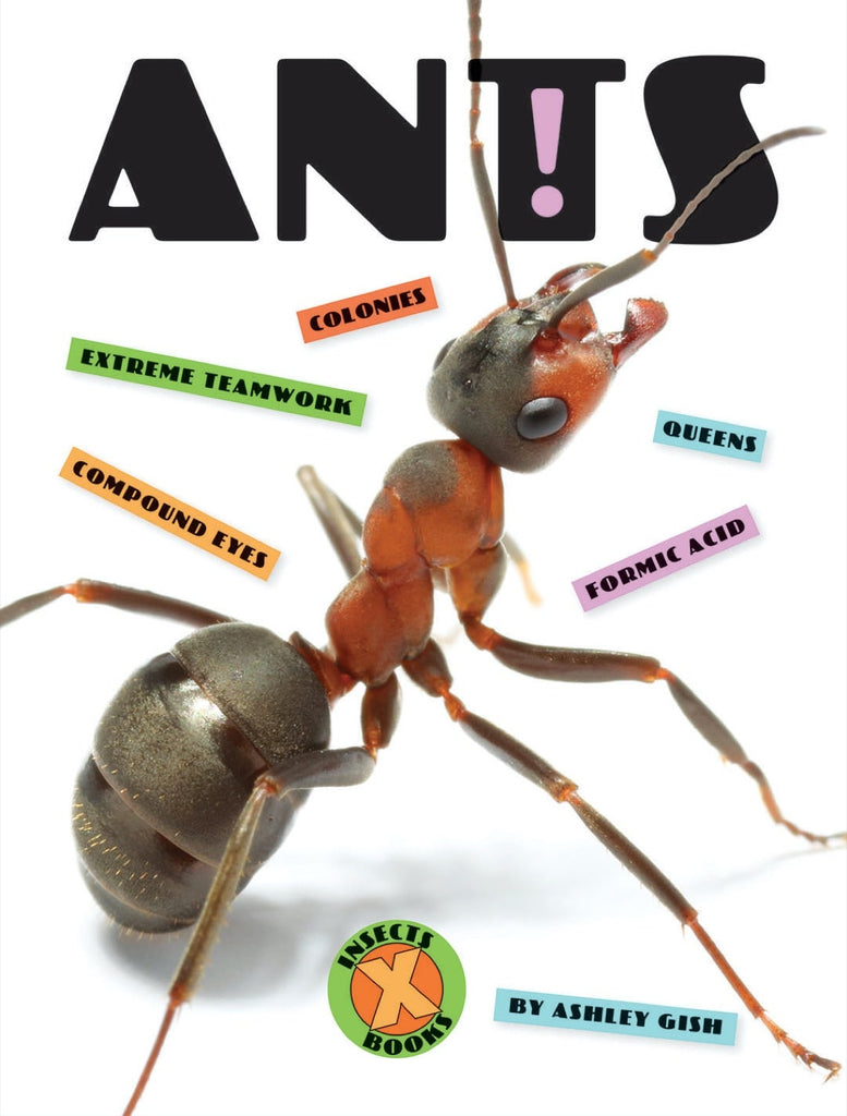 X-Books: Insects: Ants by The Creative Company Shop