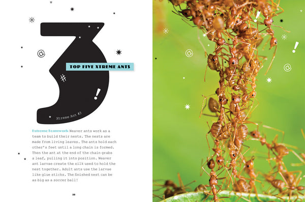 X-Books: Insects: Ants by The Creative Company Shop