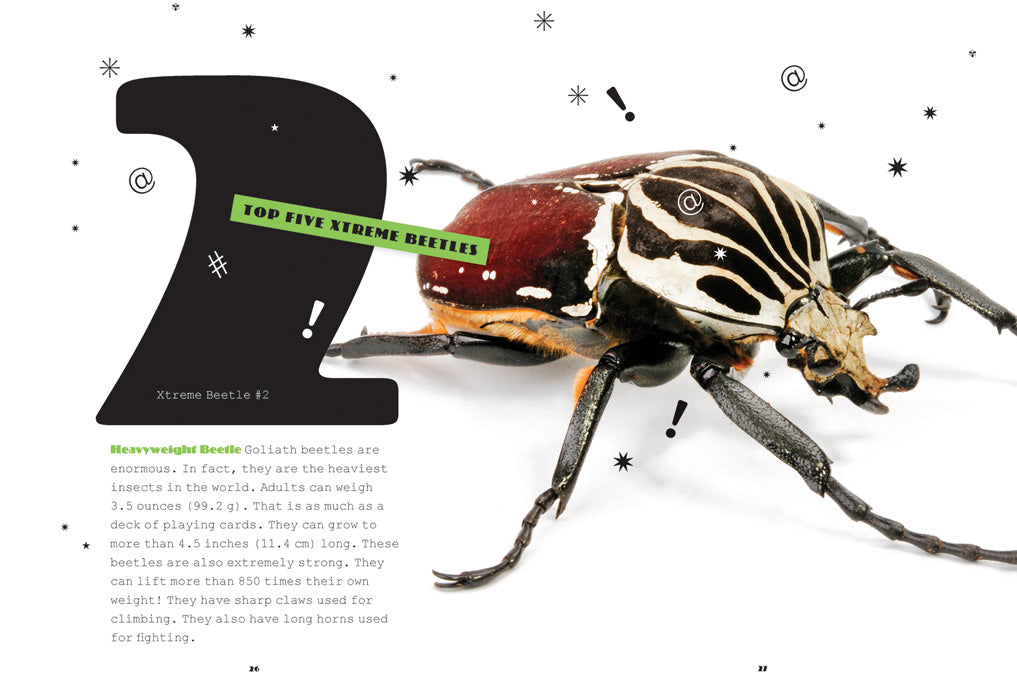 X-Books: Insects: Beetles by The Creative Company Shop