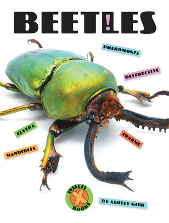 X-Books: Insects: Beetles by The Creative Company Shop