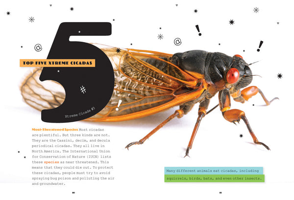 X-Books: Insects: Cicadas by The Creative Company Shop