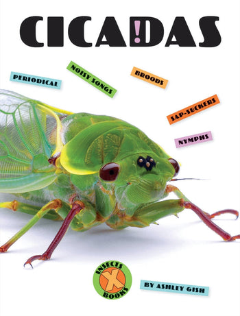 X-Books: Insects: Cicadas by The Creative Company Shop