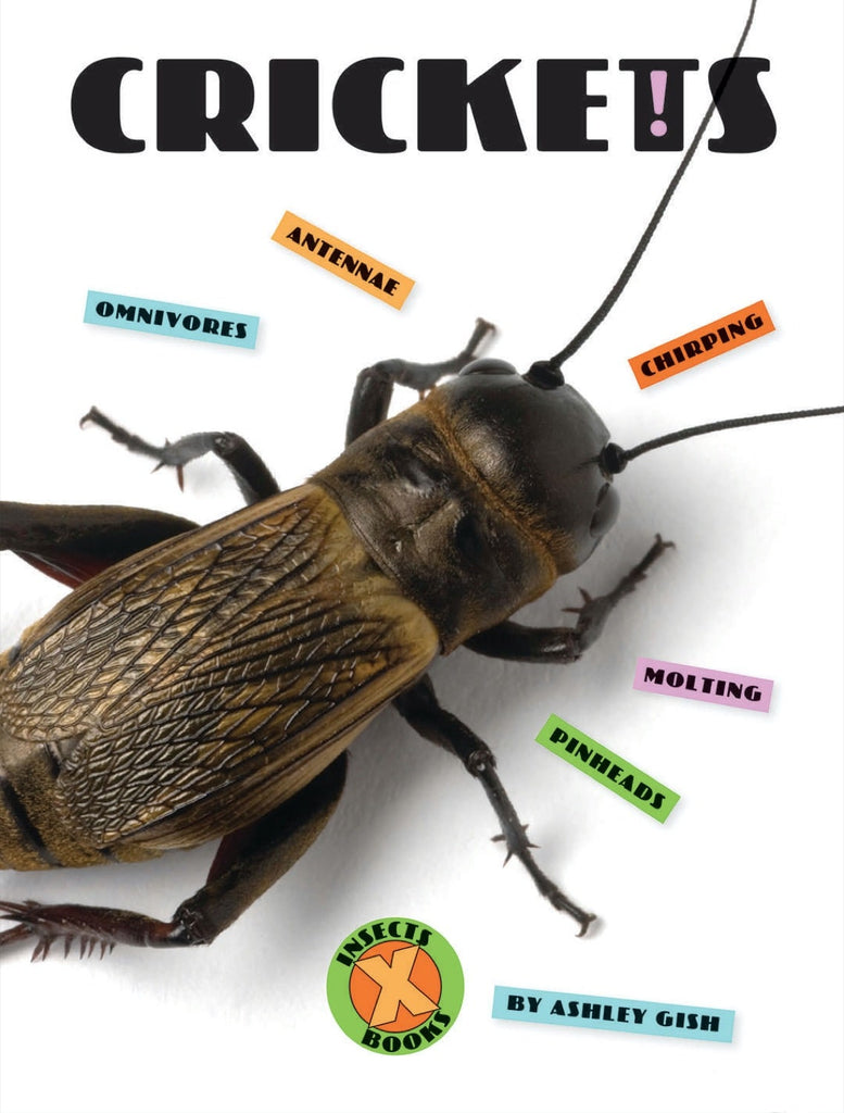X-Books: Insects: Crickets by The Creative Company Shop