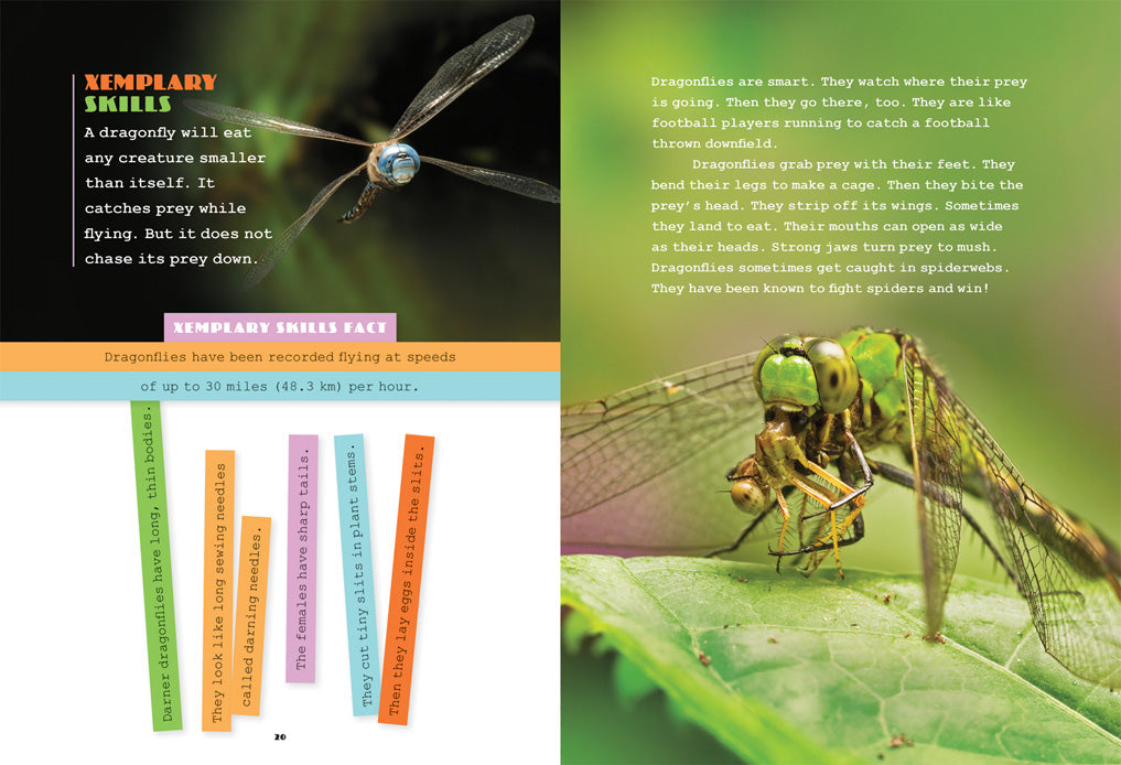 X-Books: Insects: Dragonflies by The Creative Company Shop