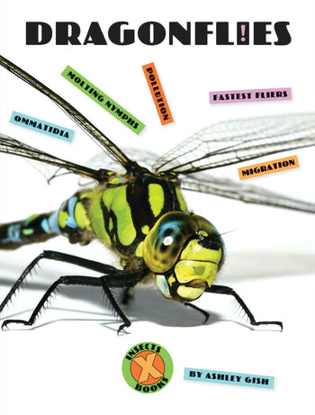 X-Books: Insects: Dragonflies by The Creative Company Shop