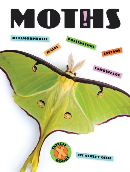 X-Books: Insects: Moths by The Creative Company Shop