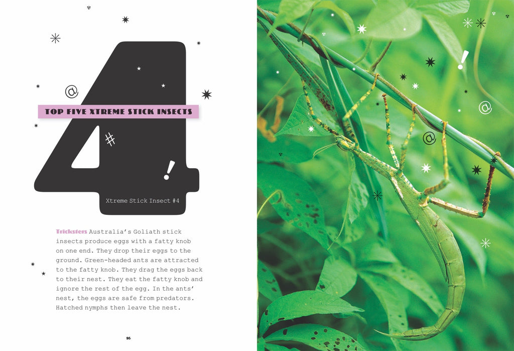 X-Books: Insects: Stick Insects by The Creative Company Shop