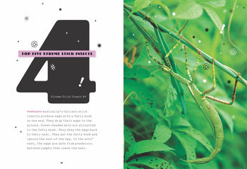 X-Books: Insects: Stick Insects by The Creative Company Shop