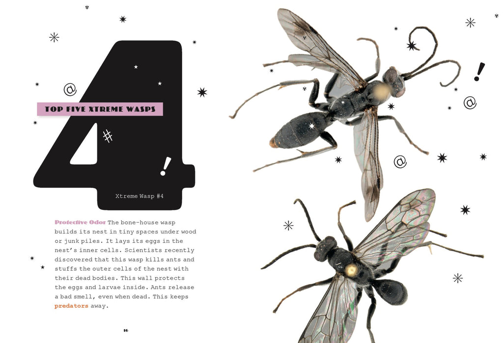 X-Books: Insects: Wasps by The Creative Company Shop