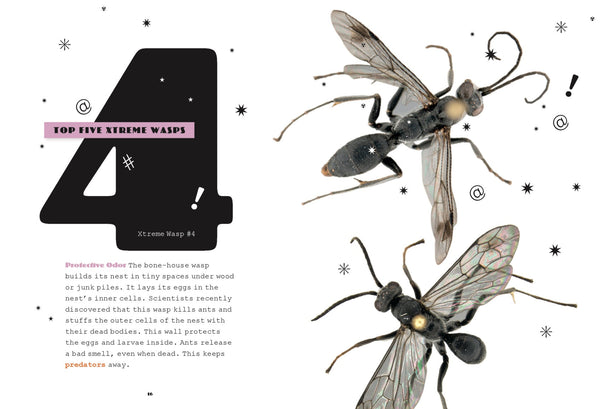 X-Books: Insects: Wasps by The Creative Company Shop