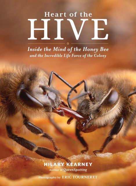 Heart Of The Hive Book