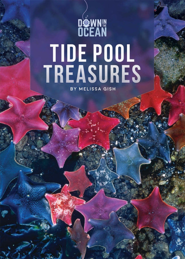 Down in the Ocean: Tide Pool Treasures by The Creative Company Shop