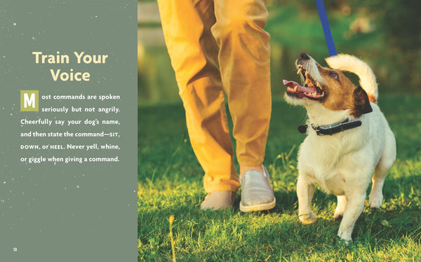 Dog's Life, A: Speaking to Your Dog by The Creative Company Shop
