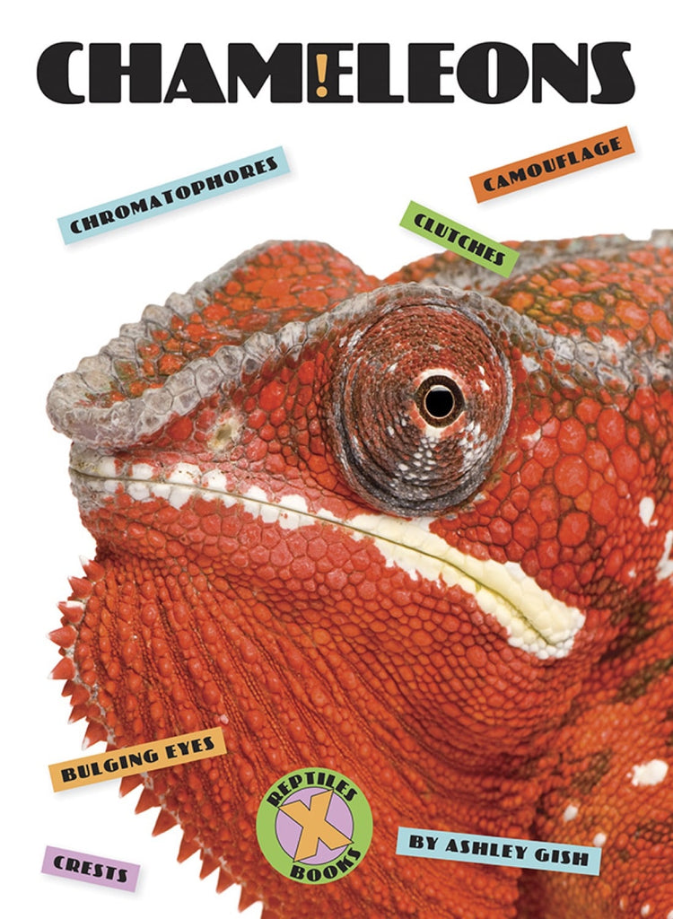 X-Books: Reptiles: Chameleons by The Creative Company Shop