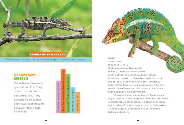 X-Books: Reptiles: Chameleons by The Creative Company Shop