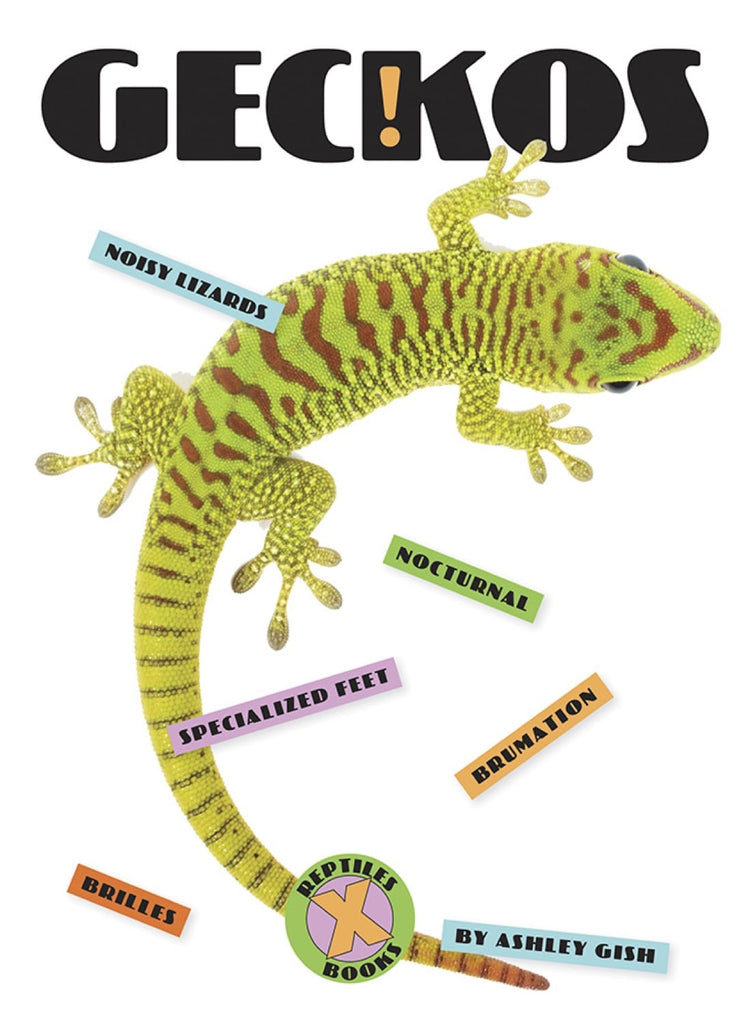 X-Books: Reptiles: Geckos by The Creative Company Shop