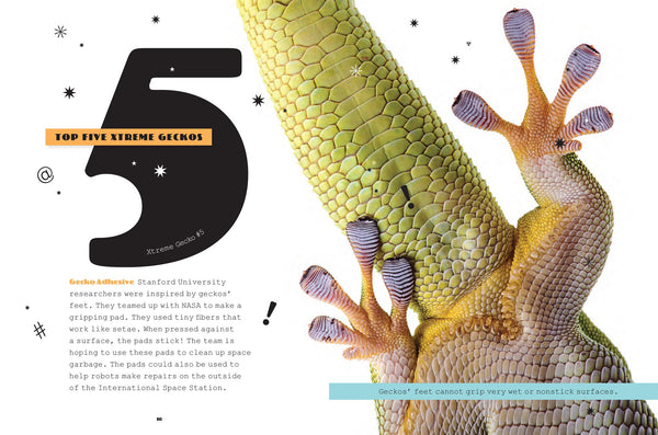 X-Books: Reptiles: Geckos by The Creative Company Shop