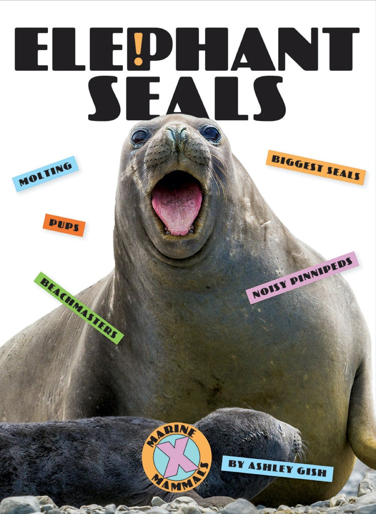 X-Books: Marine Mammals: Elephant Seals by The Creative Company Shop