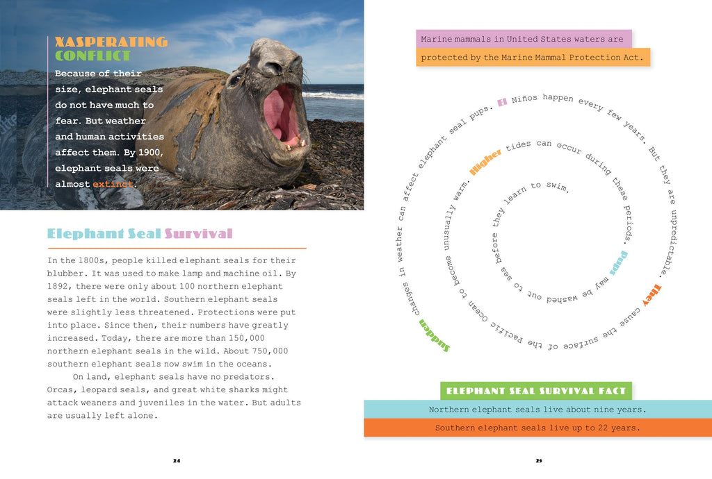 X-Books: Marine Mammals: Elephant Seals by The Creative Company Shop