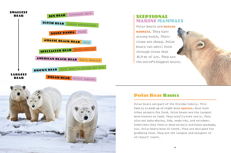 X-Books: Marine Mammals: Polar Bears by The Creative Company Shop