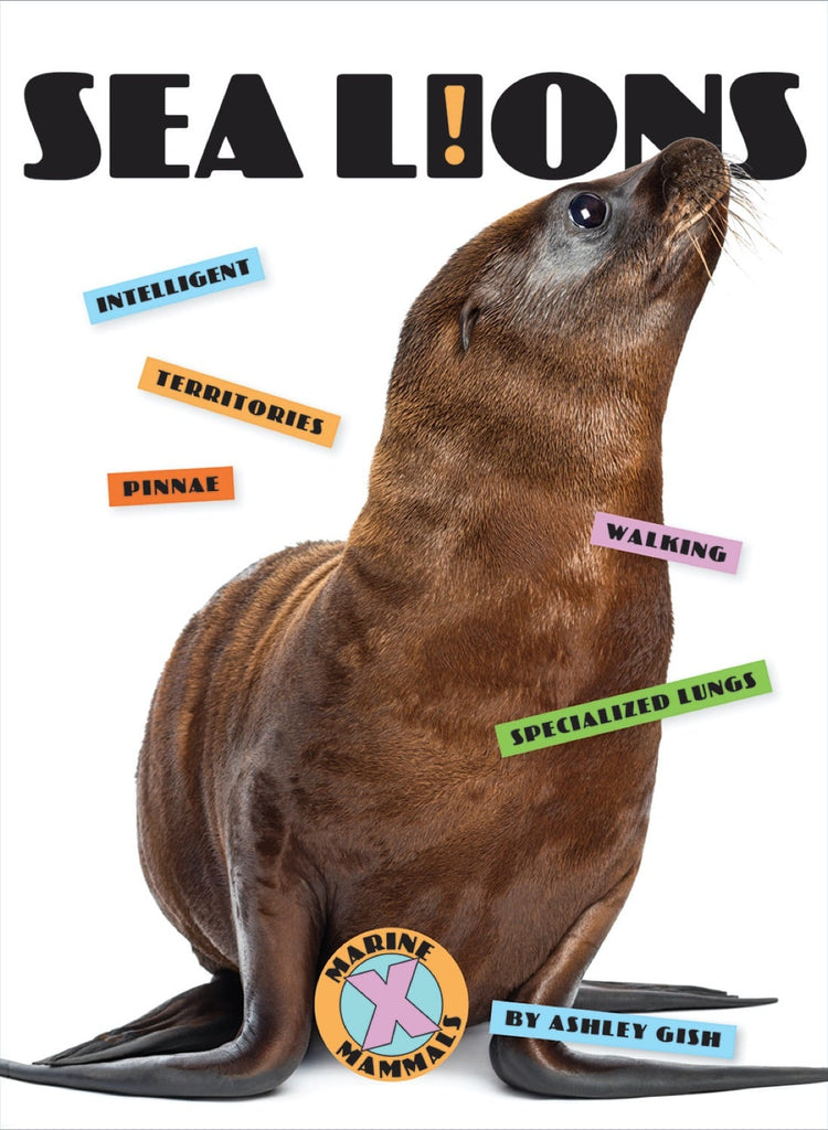 X-Books: Marine Mammals: Sea Lions by The Creative Company Shop