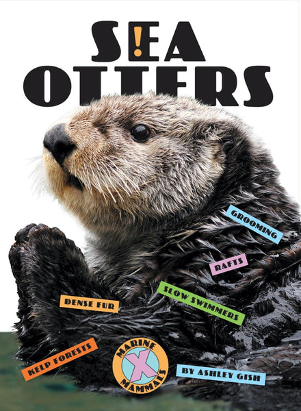 X-Books: Marine Mammals: Sea Otters by The Creative Company Shop