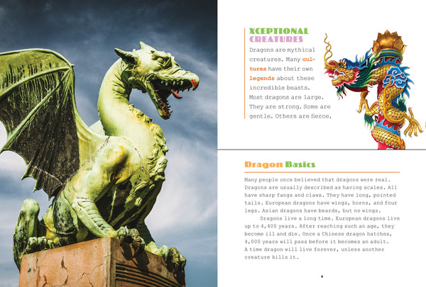 X-Books: Mythical Creatures: Dragons by The Creative Company Shop