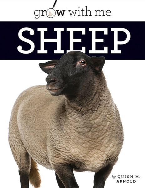 Grow with Me: Sheep by The Creative Company Shop