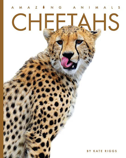 Amazing Animals (2022): Cheetahs by The Creative Company Shop
