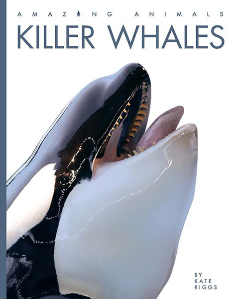 Amazing Animals (2022): Killer Whales by The Creative Company Shop