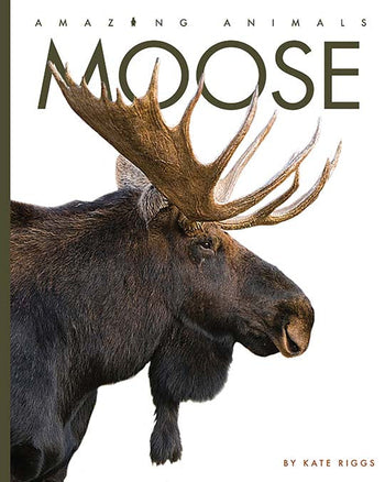 Amazing Animals (2022): Moose by The Creative Company Shop