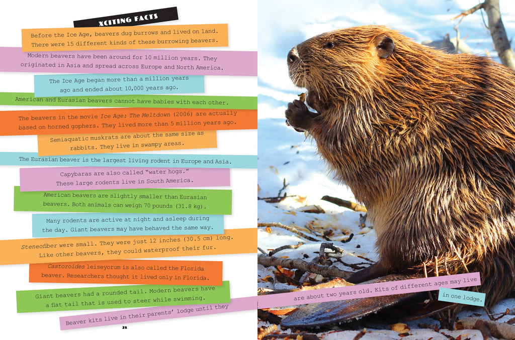 X-Books: Ice Age Creatures: Giant Beavers by The Creative Company Shop