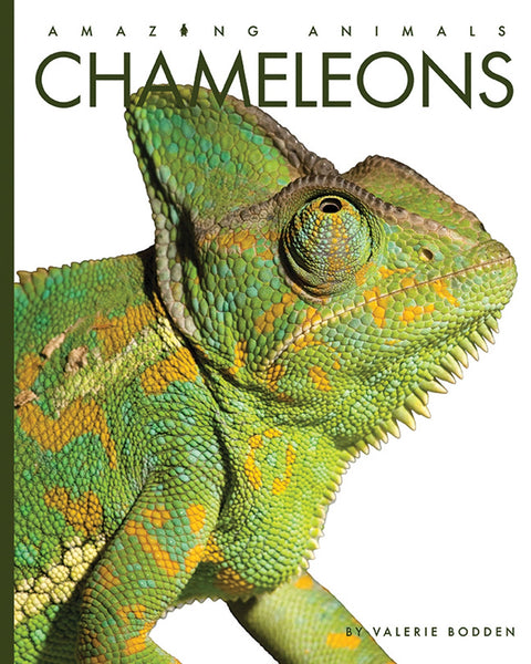 Amazing Animals (2022): Chameleons by The Creative Company Shop