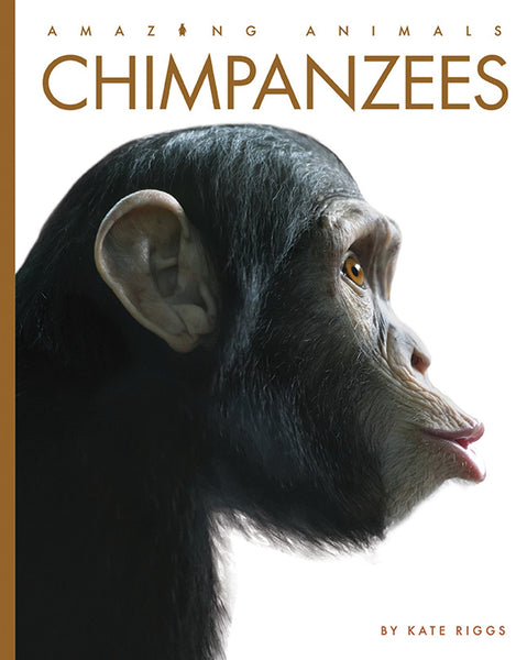 Amazing Animals (2022): Chimpanzees by The Creative Company Shop