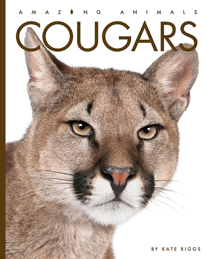 Amazing Animals (2022): Cougars by The Creative Company Shop