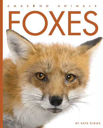 Amazing Animals (2022): Foxes by The Creative Company Shop