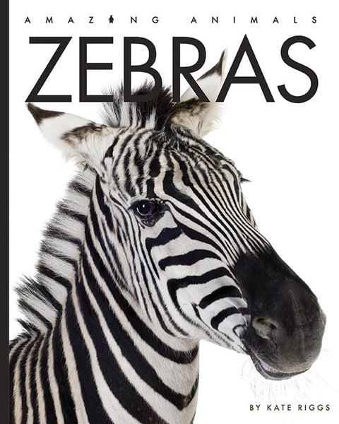 Amazing Animals (2022): Zebras by The Creative Company Shop